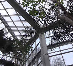 Tropicarium - Trockentropen