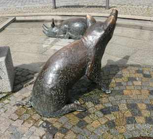 Beim Säulesbrunnen auf dem Marktplatz