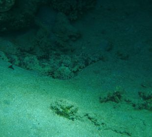 Schnorcheln am Außenriff des Hotel Pensee Azur Resort