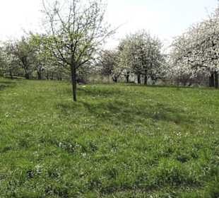 Wanderweg Firstwaldrunde