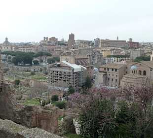 Forum Romanum