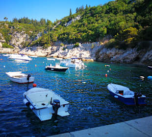 Stadtrundgang Trsteno