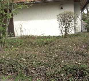 Friedhof Suppingen