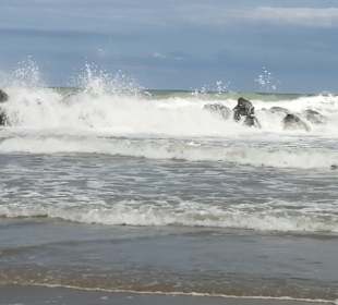 Strand Silvi