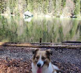 Wandern Ried im Zillertal