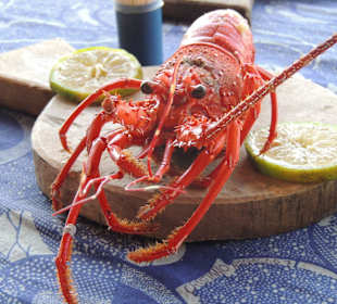 Shimoni/Wasini Islands