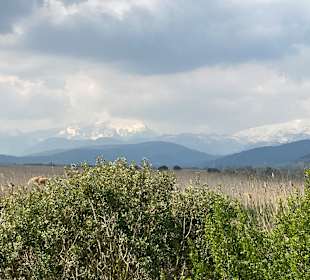 Naturpark S'Albufera