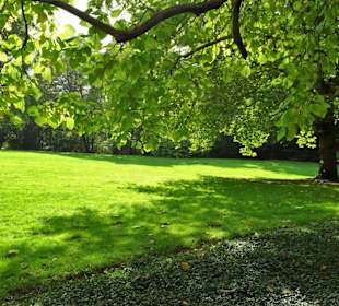 Rundgang durch Knoops Park im Herbst