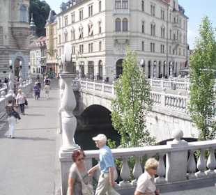 Stadt und Altstadt Ljubljana