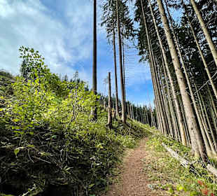 Wandern Friedrichroda