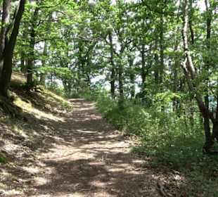 Schutzgebiet Spitzberg, Pfaffenberg