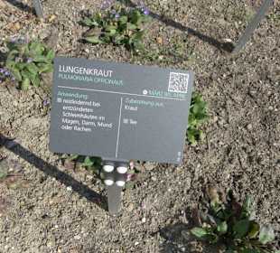 Erläuterungen der Kräuter