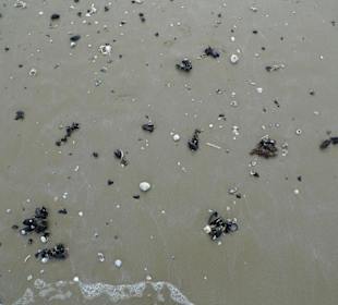 Римини, море