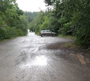 FriedWald Schönbuch
