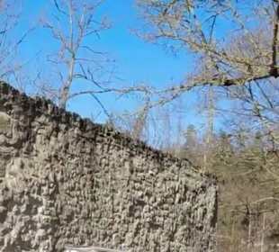 Burgruine Wehrstein Fischingen