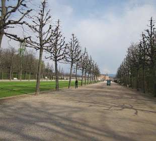 Schlosspark Schwetzingen