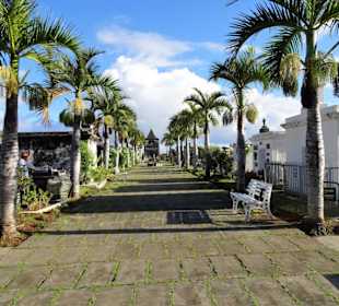 Rundgang über den alten Friedhof am Meer