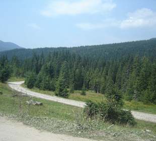 Parcul Natural Apuseni