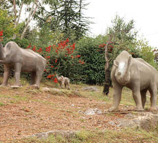 Museum von Petralona