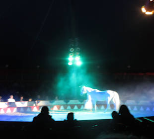 Landauer Weihnachtcircus 2016