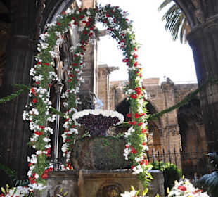 "Das hüpfende Ei" - nur in der Fronleichnamswoche