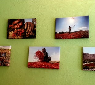 Persepolis Heidelberg