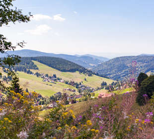 Ausblick
