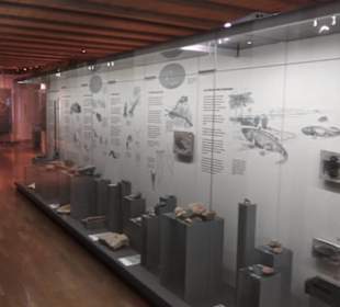 Naturkundemuseum