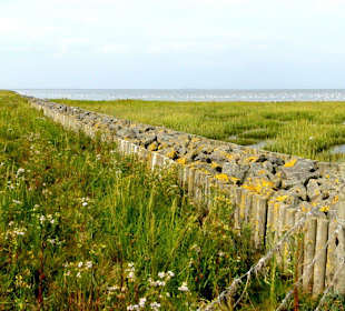 Landgewinnungszone im Wattenmee