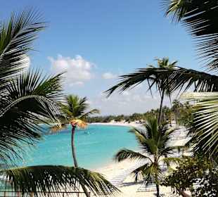 Andy Ausflug Catalina