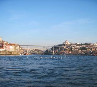 'Eifelbrücke' Ponte Dom Luis I