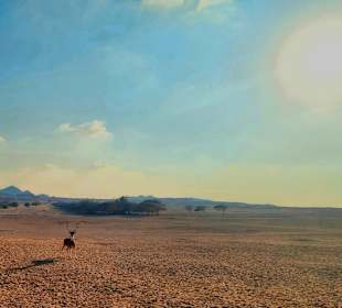 Arabian Wildlife Park