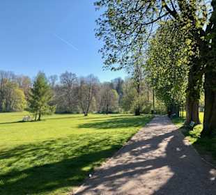 Grüne Freifläche im Park