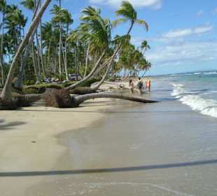 Samana