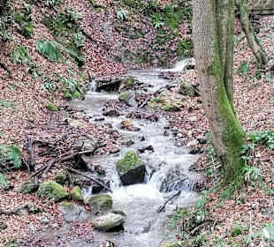 Wandern Bad Gleichenberg