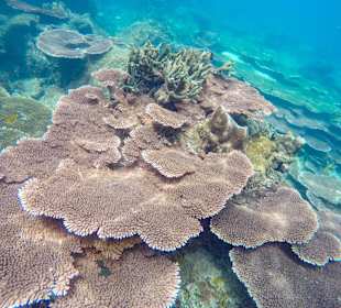 Schnorcheltour mit Jebat