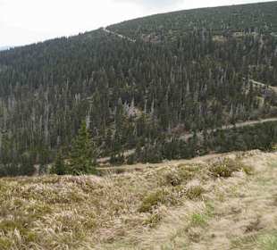 Berg Schneekoppe/Śnieżka