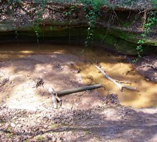 Die Bitterbachschlucht