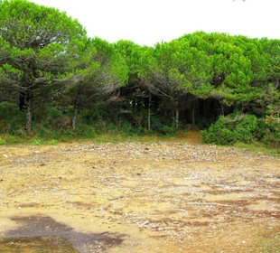 Ende September 2010 Inspirationen