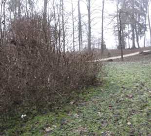 Wallfahrtskirche Maria Buch