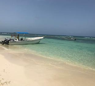 Saona 