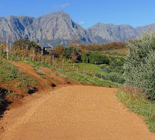 Weingut Tokara in Stellenbosch