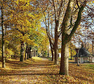 Kurpark mit Albertquelle