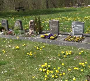 Friedhof
