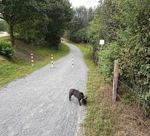 Holsterhausener Uferseite Zugang zur Anlegestelle