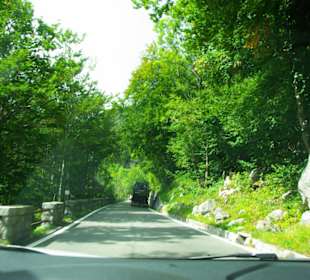 Sehr gut ausgebaut Ital. u. Ösi - Seite