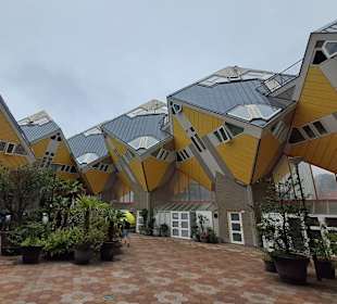 Kubushäuser in Rotterdam