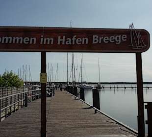 Hafen Breege