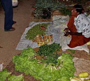 Wochenmarkt Kalutara Nortrh