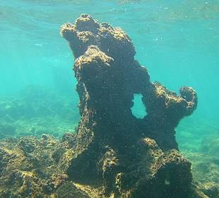 Schnorcheln Avsallar